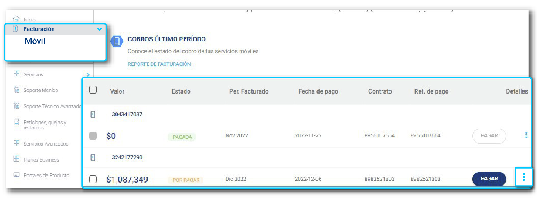 aw-detalle-factura-mi-cuenta-empresas