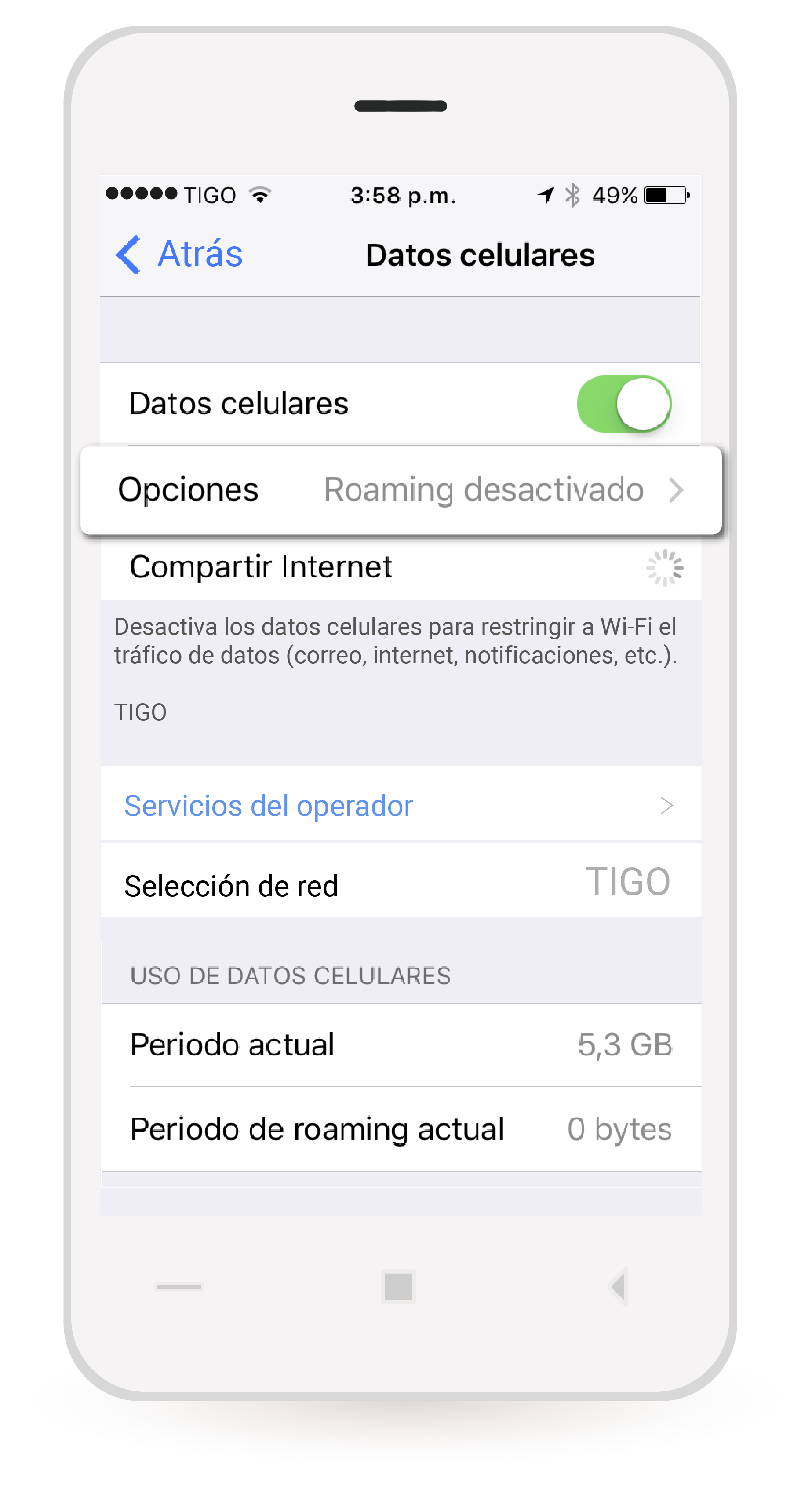 aw-Roaming-nacional-iphone-opciones-roaming-desactivado.png