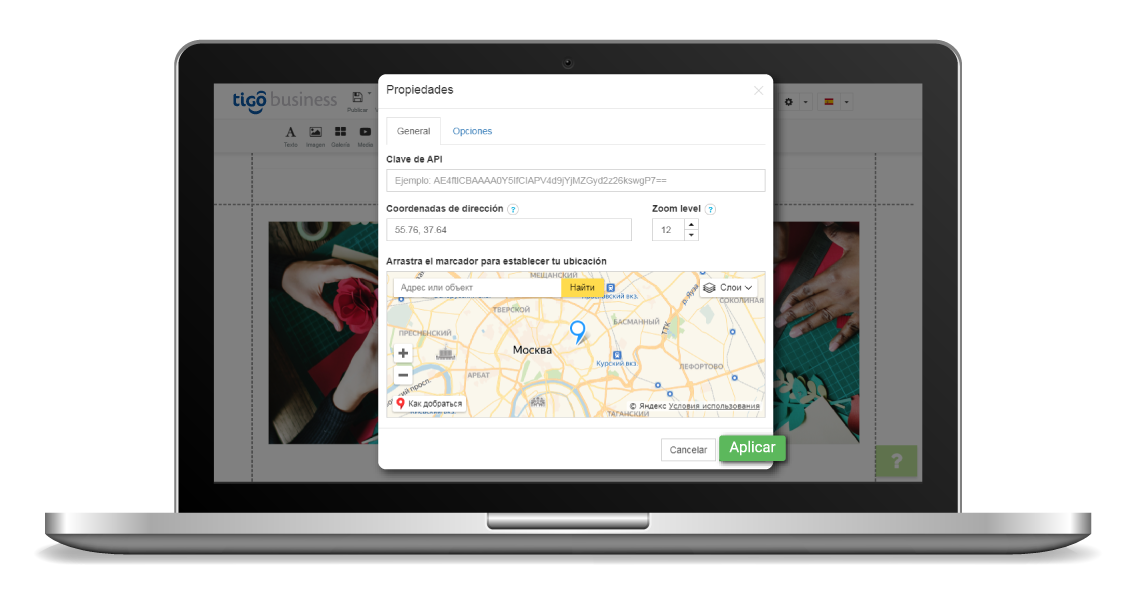 aw-Agregar Google Maps a mi sitio Paso 5 Aplicar