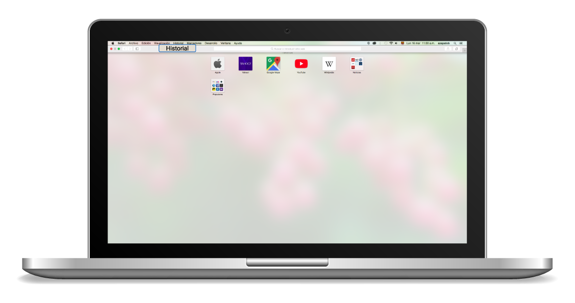 aw-Como eliminar Cookies en Safari Paso 1 Historial