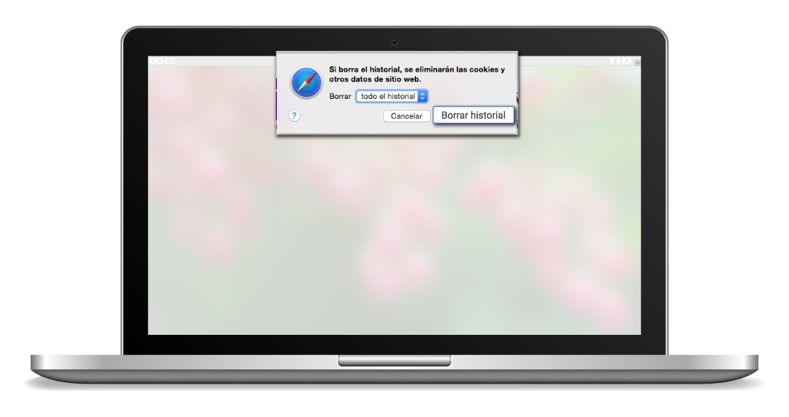 aw-Como eliminar Cookies en Safari Paso 3 Todo el Historial