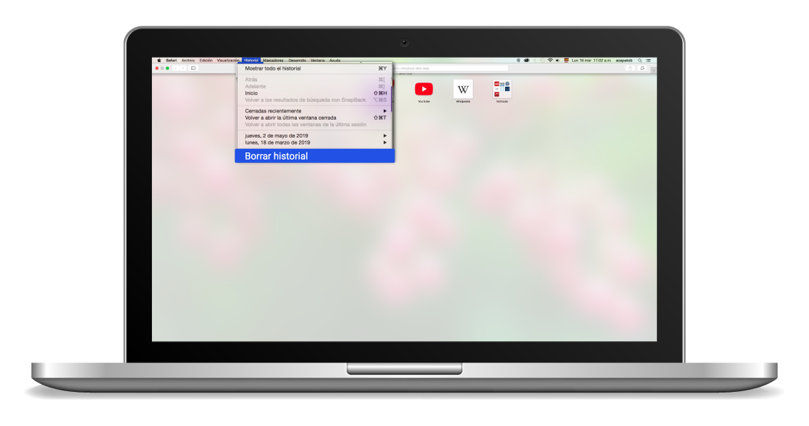 aw-Como eliminar Cookies en Safari Paso 2 Borrar Historial