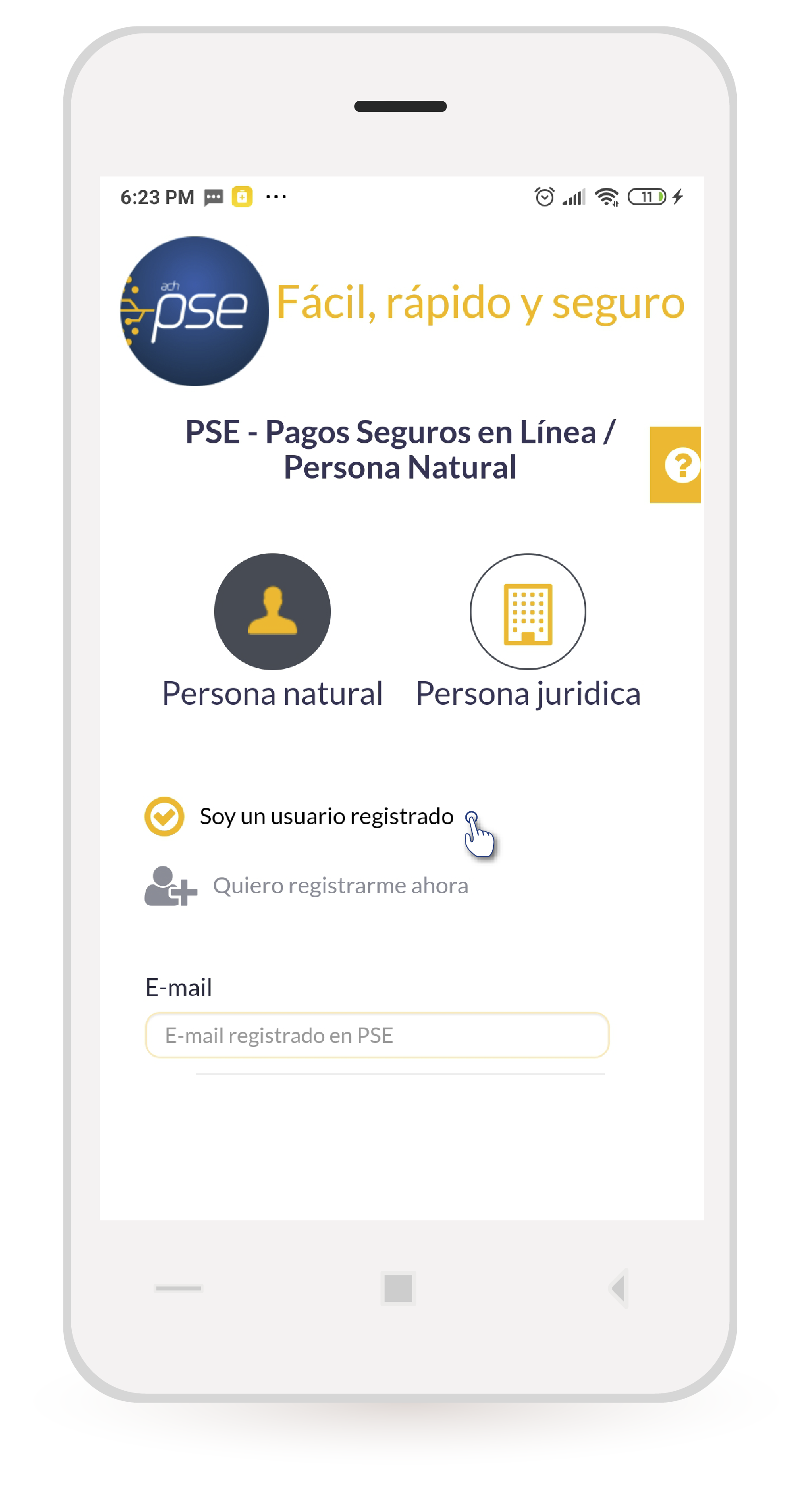 aw-pagos en linea pse