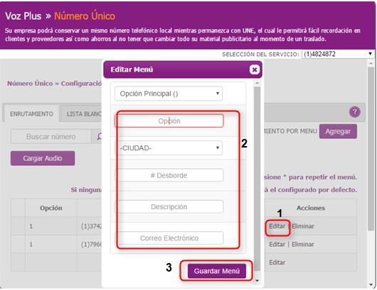 aw-Generacion de reportes numero unico tigo paso 2 tipo de reporte