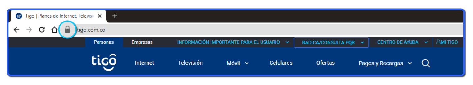 aw-phishing en la web