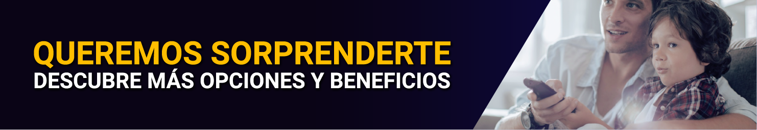 aw-banner web ontv.png