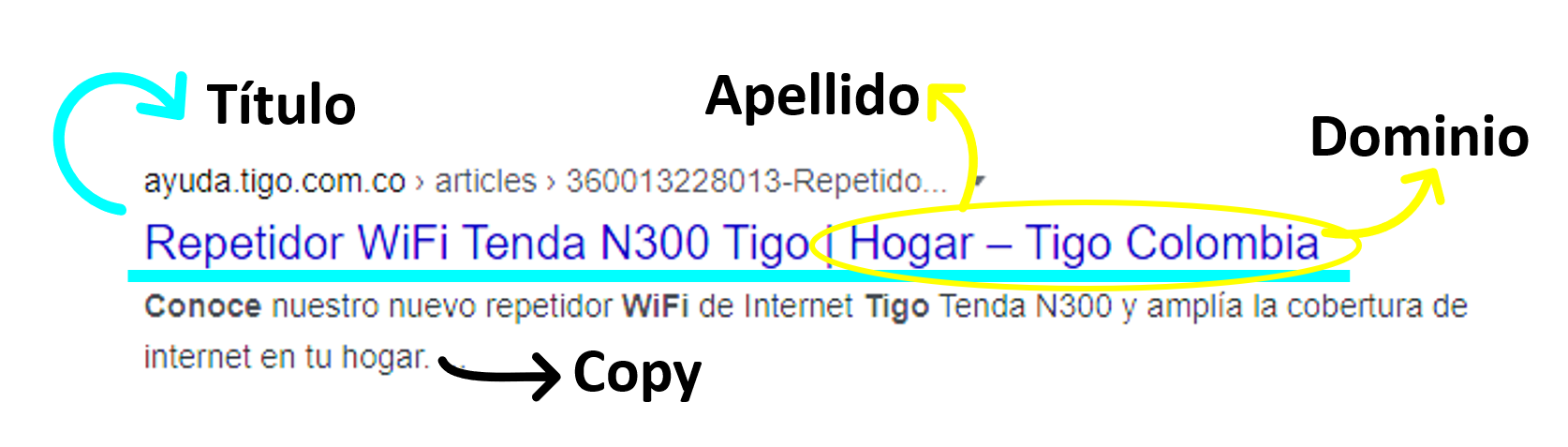 aw-busqueda google.png